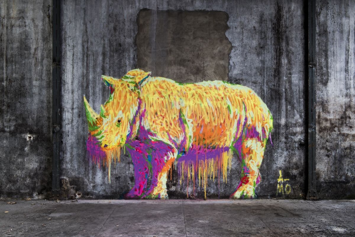 A-MO Rhinocéros Street Art