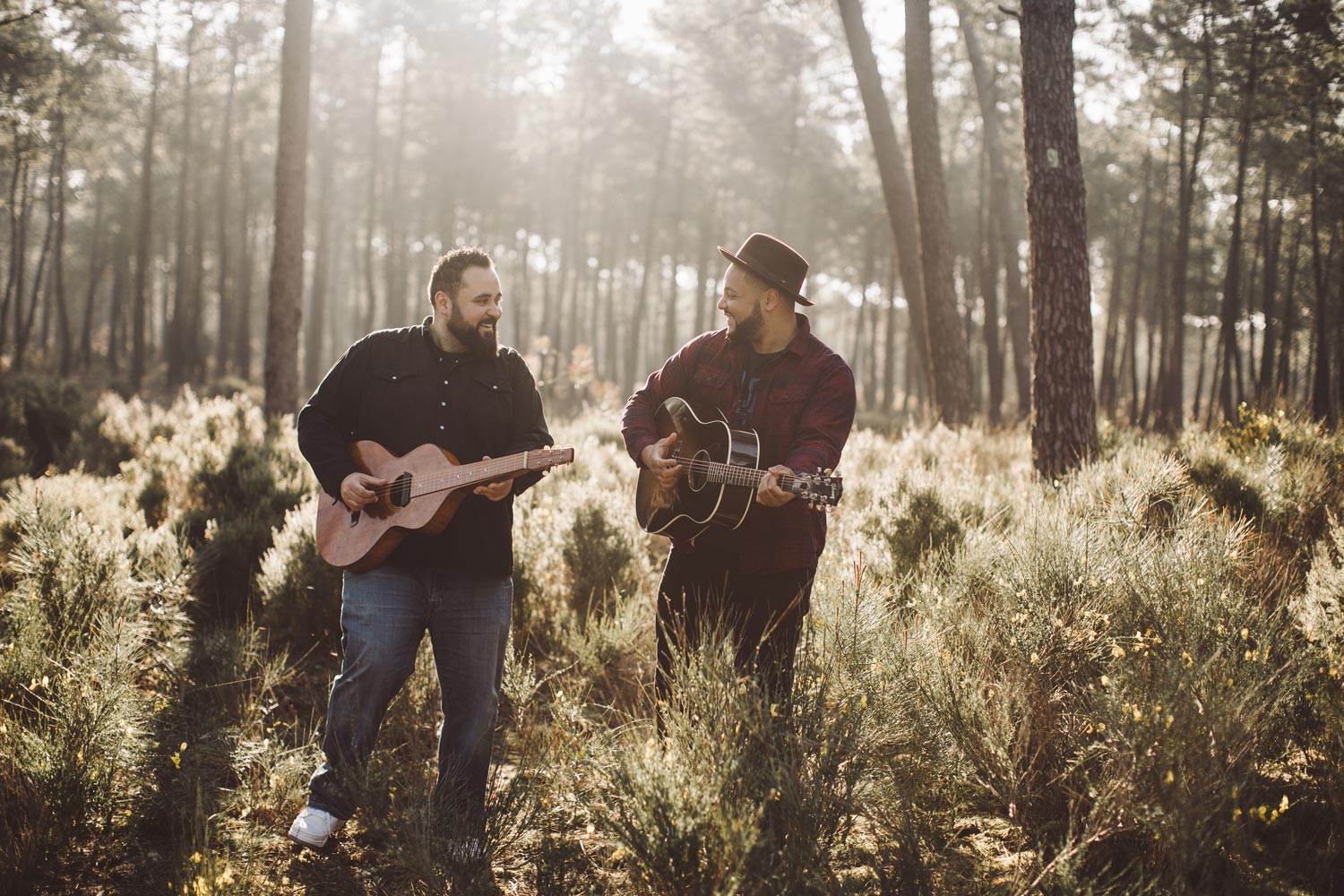 Frank et Damien, folk-rock